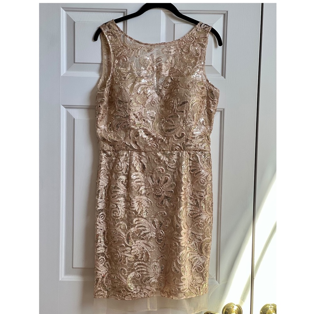 ⭐️NWT Cachet Dress